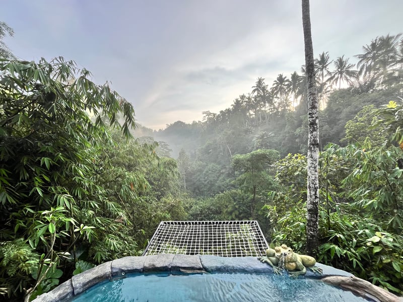 Swargana cabin 25