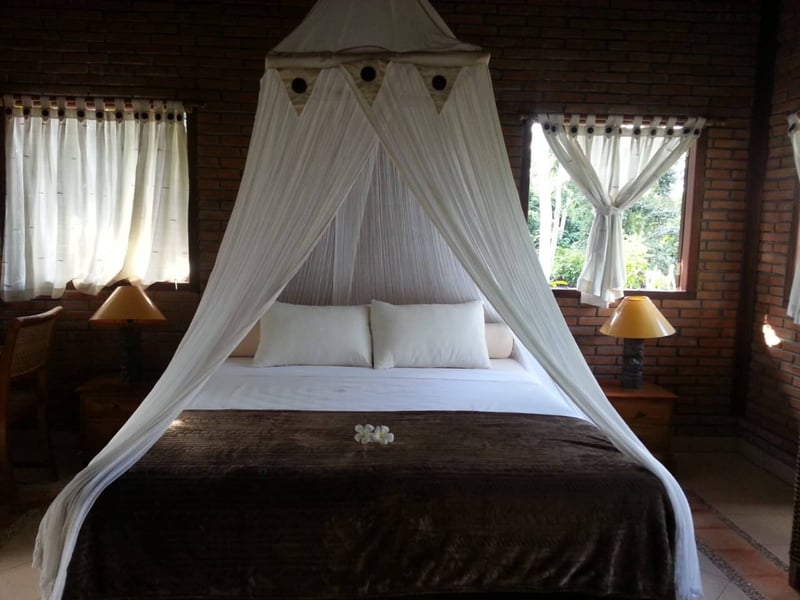 Sua Bali — photo 2