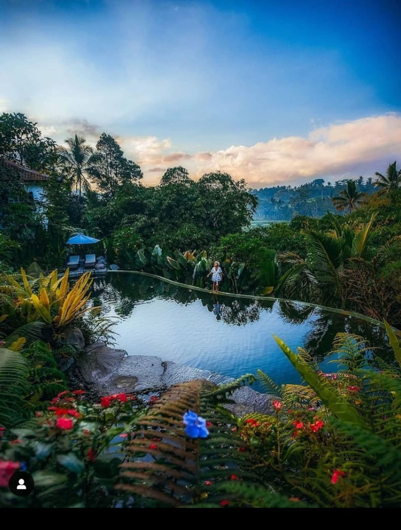 Enchanted Hobbit Treehouse Nestled in the Jungle 22