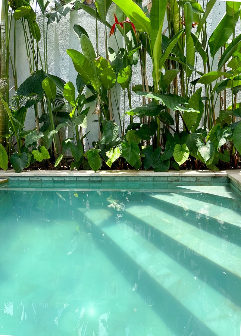 Villa Sentosa | Private Pool in Peaceful Nature 8