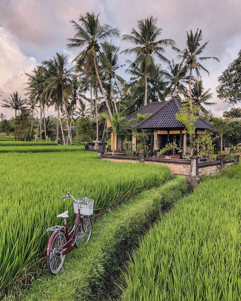 Legendary house "Eat Pray Love" w/rice fields view 15