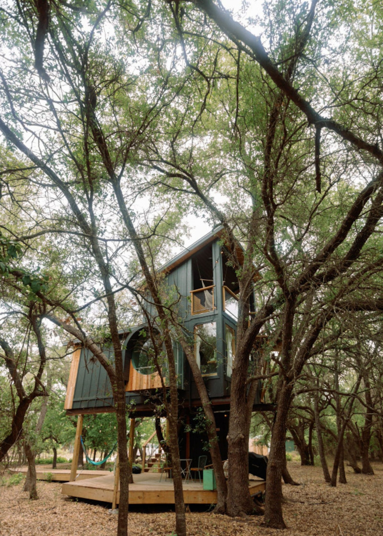 The Leaf at HoneyTree — photo 2