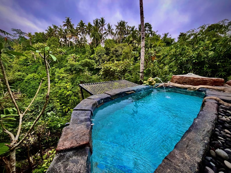 Swargana cabin 40