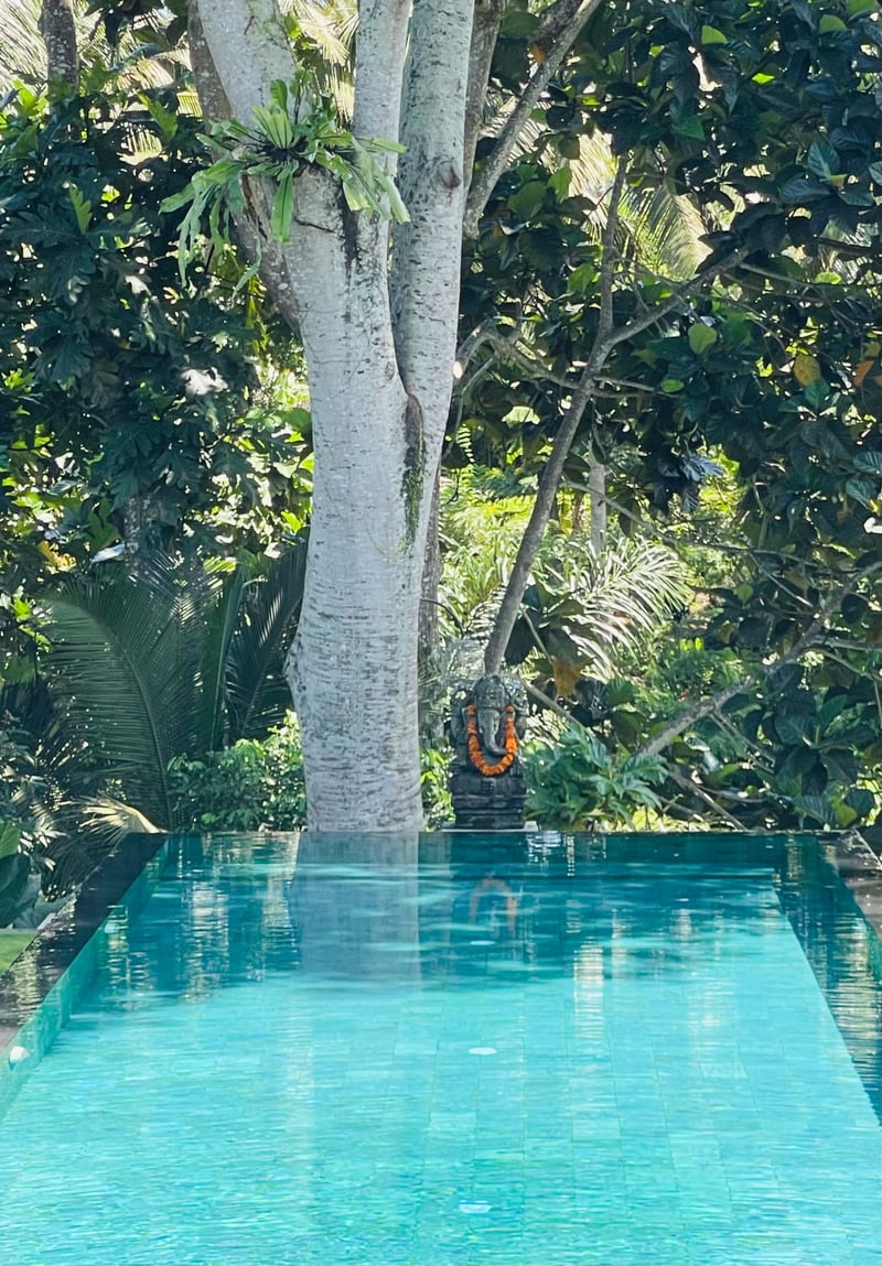 Rumah Melati Estate Ubud 10