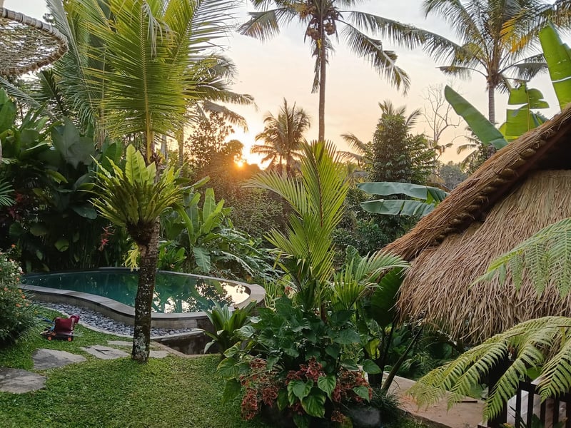Sanding Bamboo Villa - An Idyllic Jungle Retreat 38