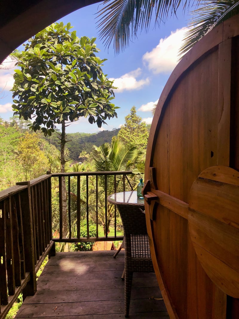 Enchanted Hobbit Treehouse Nestled in the Jungle 18