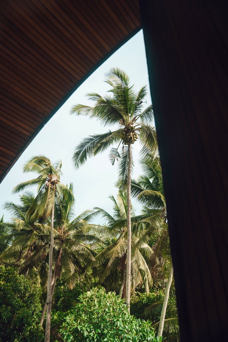 ALPHA HOUSE– Design villa w full concierge service 15