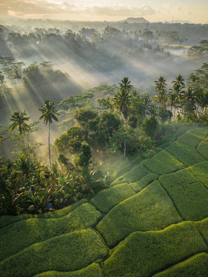 Bambootel (Sawah View) 29
