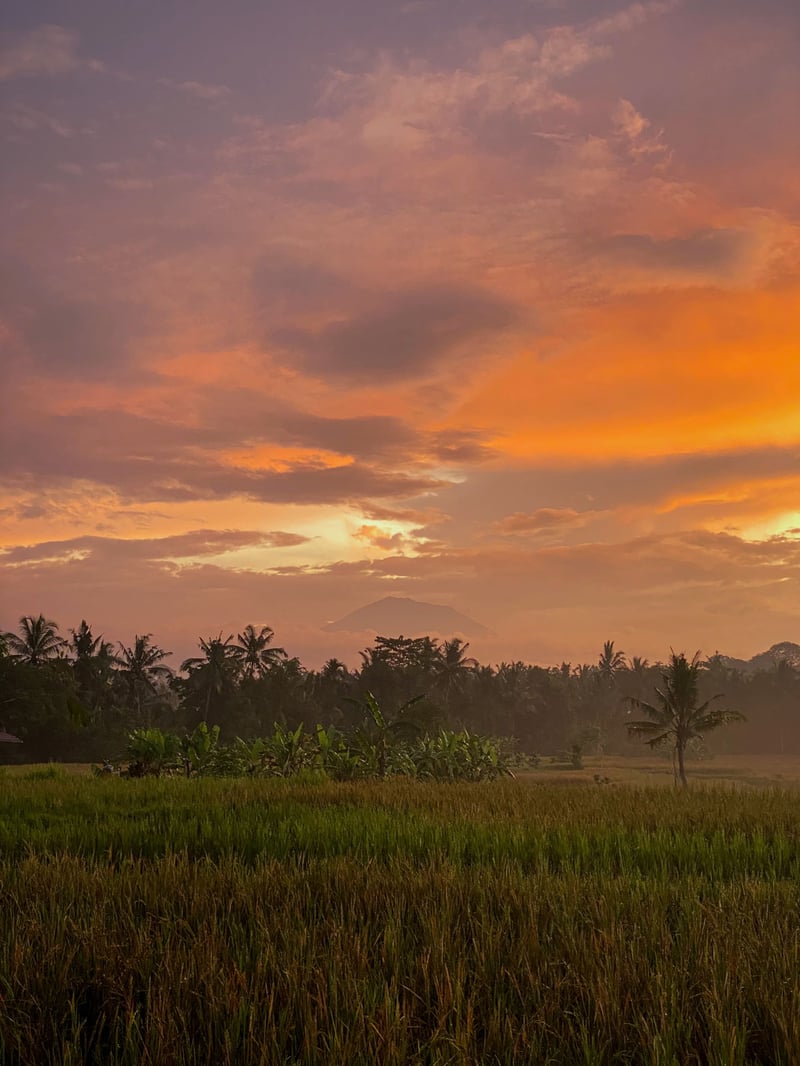 Ubud stylish jungle pool villa 28