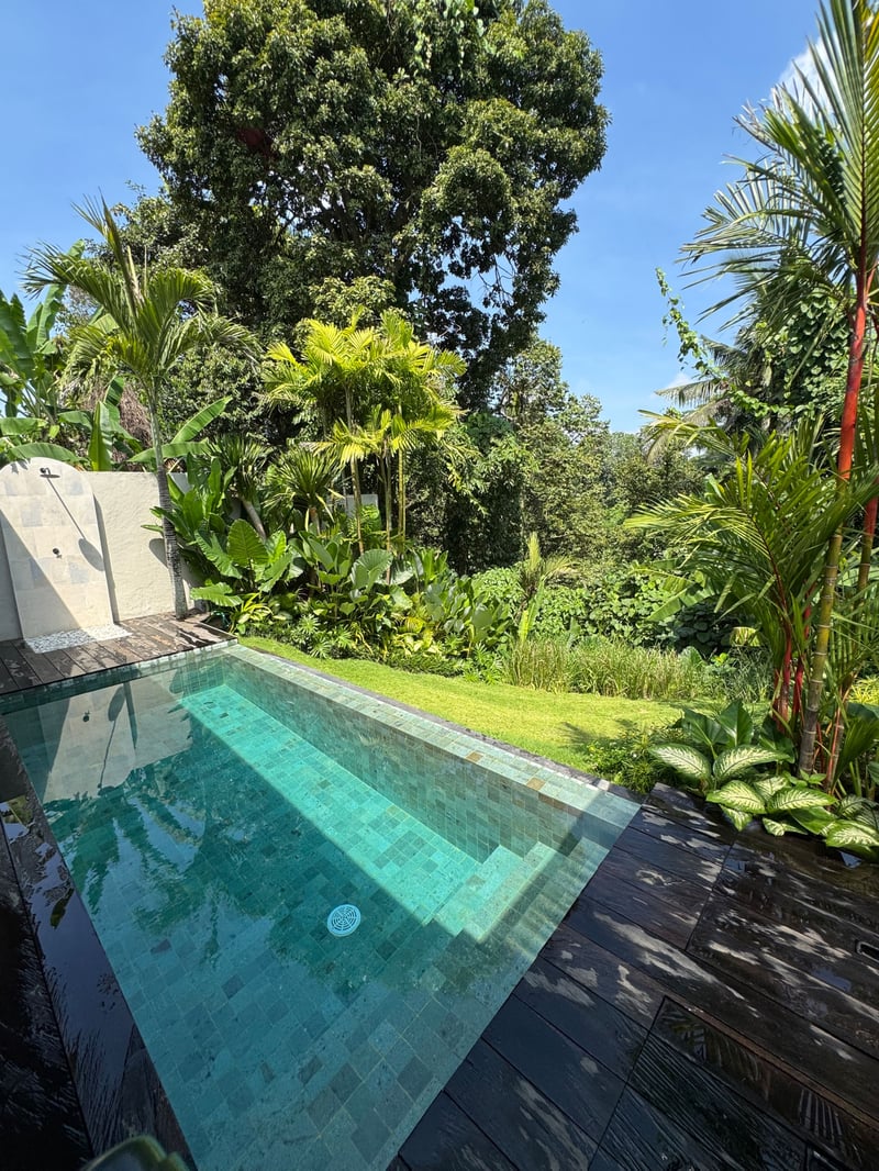 Stylish, Serene Forest Retreat with pool — photo 4