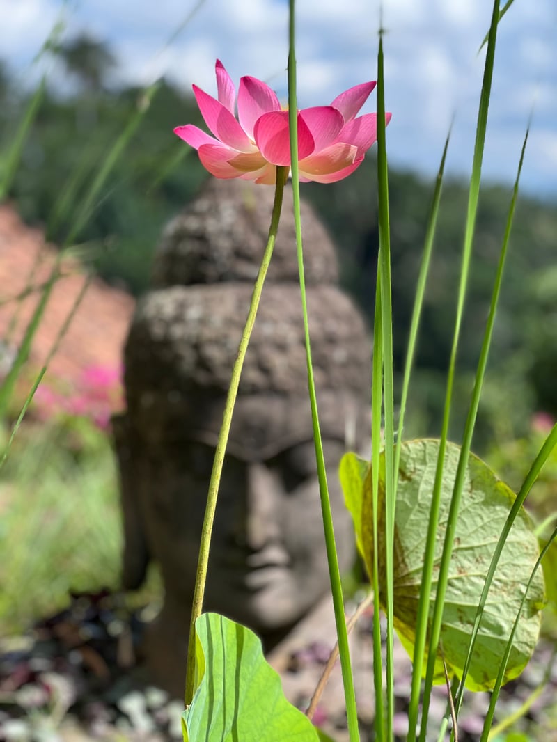 Ki Ma Ya Sanctuary, At One with Nature 13