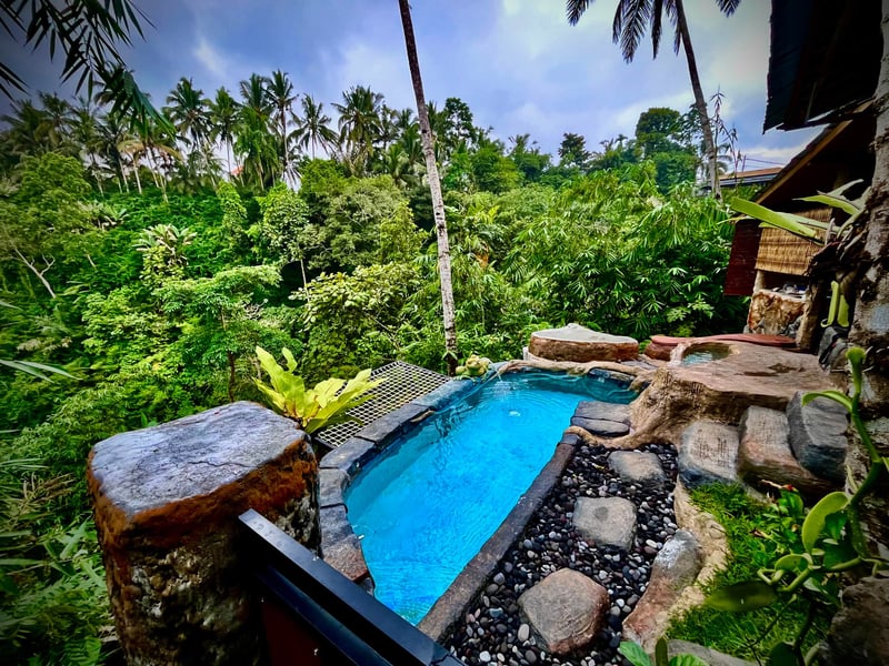 Swargana cabin 39