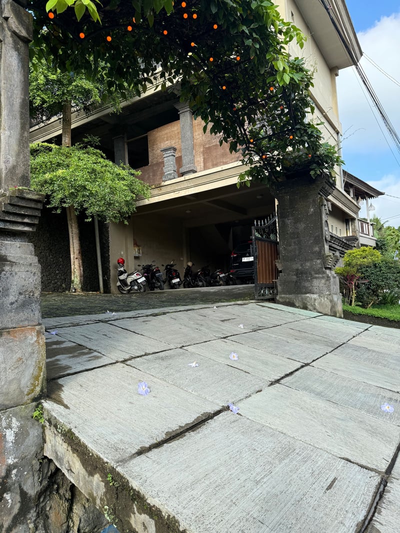2BR with Panoramic Rice Field View 9