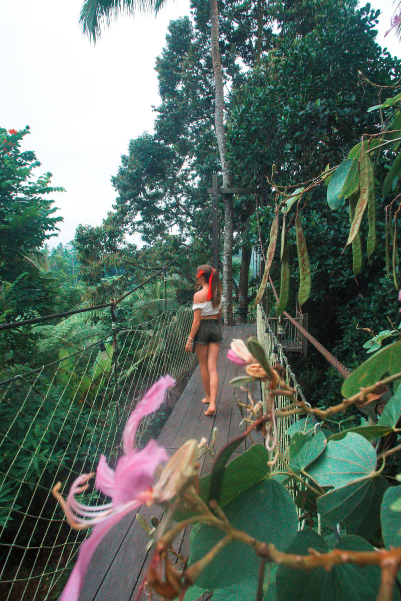 Enchanted Hobbit Treehouse Nestled in the Jungle 25