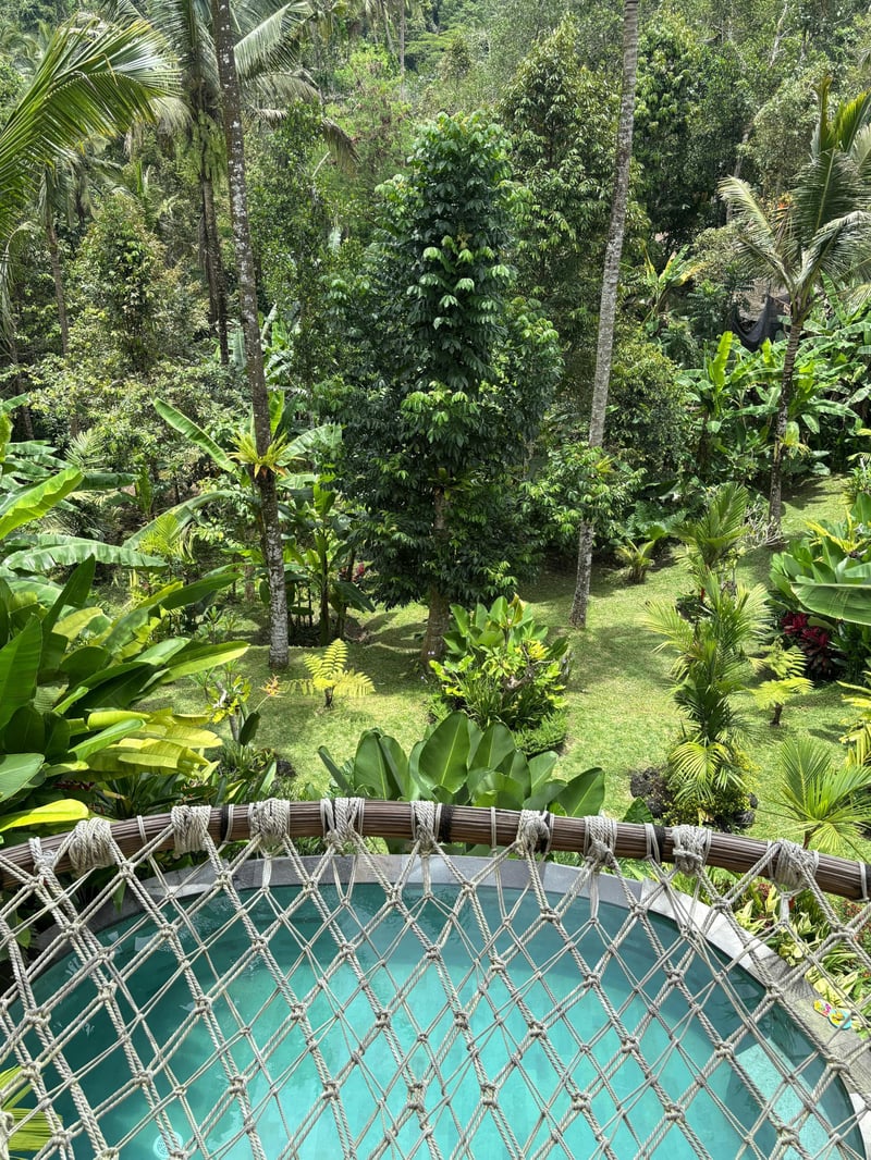Sanding Bamboo Villa - An Idyllic Jungle Retreat 33