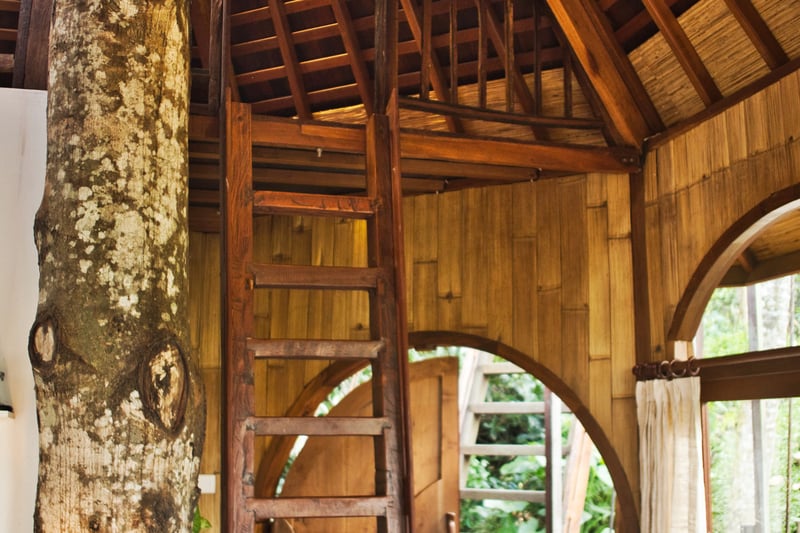 Enchanted Hobbit Treehouse Nestled in the Jungle 8