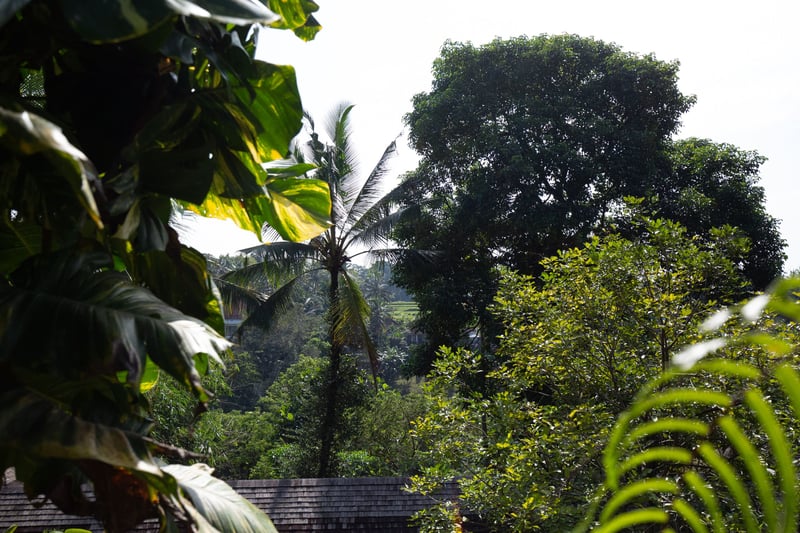 Rumah Senja 21