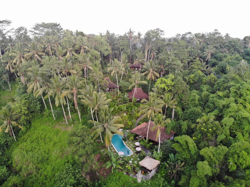 Mahadevi 3- Serviced Jungle Joglo near Ubud + Pool 19