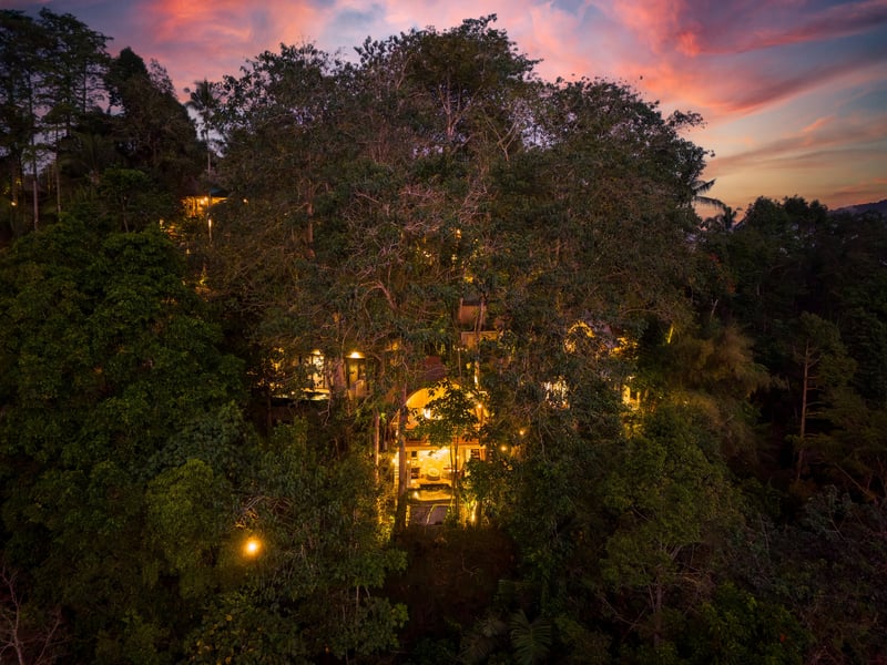 Belantara Bamboo Villa | Private Pool & Jungle — photo 5