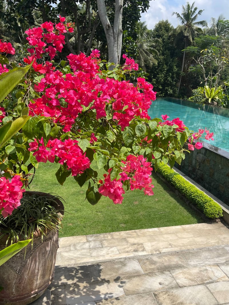 Rumah Melati Estate Ubud 11