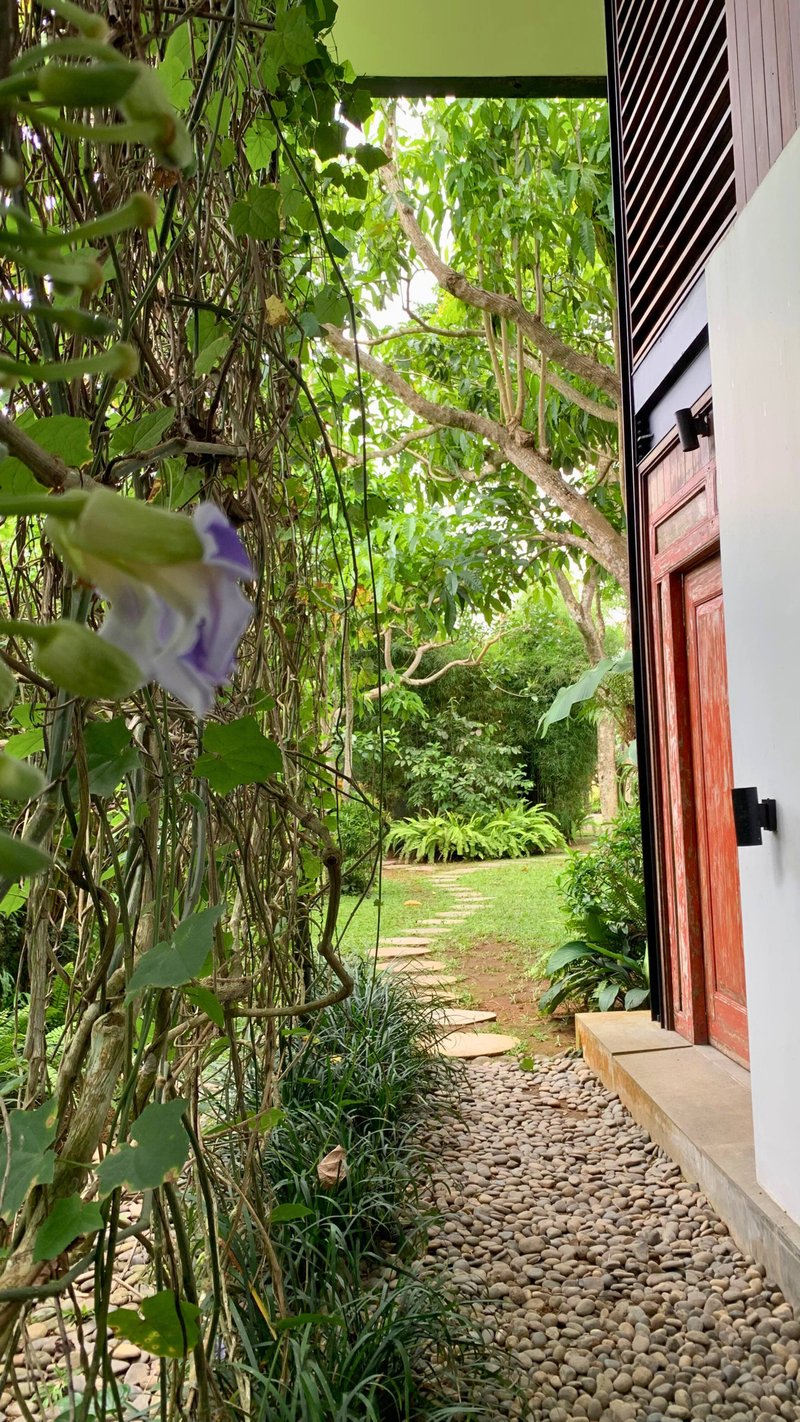 Special price for August. Gorgeous Jungle Villa. 21