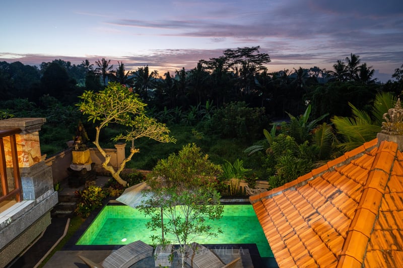 Jungle 3 bedroom oasis with private pool — photo 4