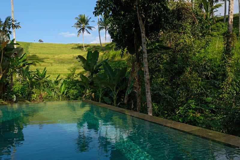 Bebalilodge — photo 3