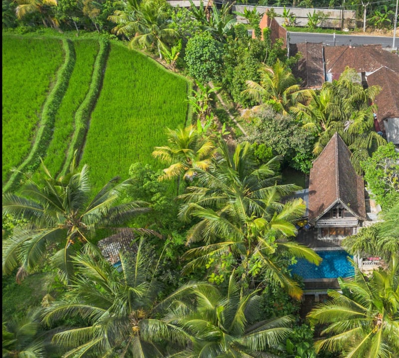 Hidden Gem near Ubud • Private Pool & Nature 22