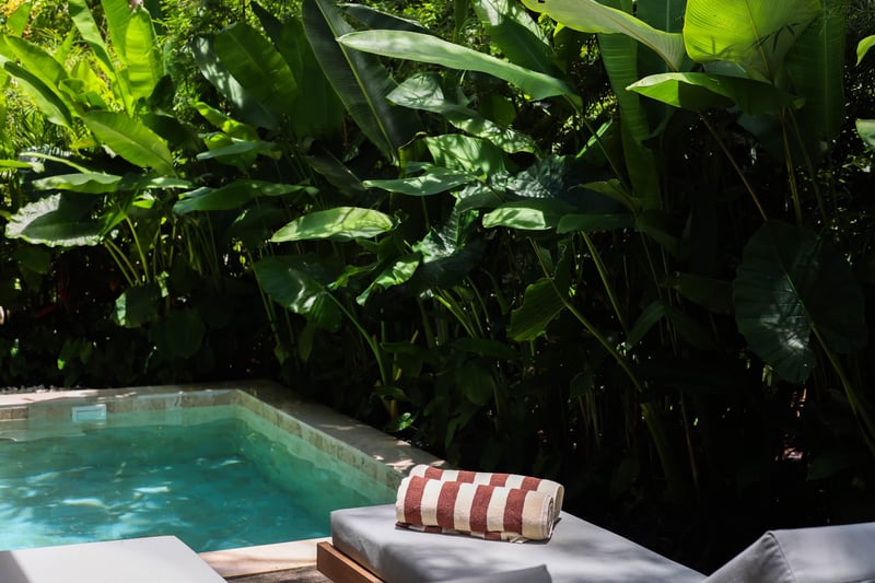 Big Modern Wellness: Ice bath, Pool & Zen Garden — photo 2