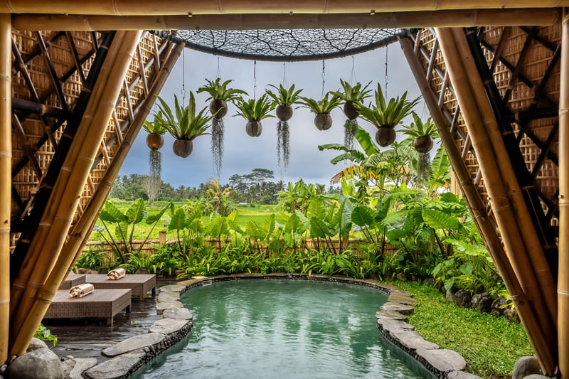 Bamboo Suite 1BR - Private Pool + Rice Field View 18