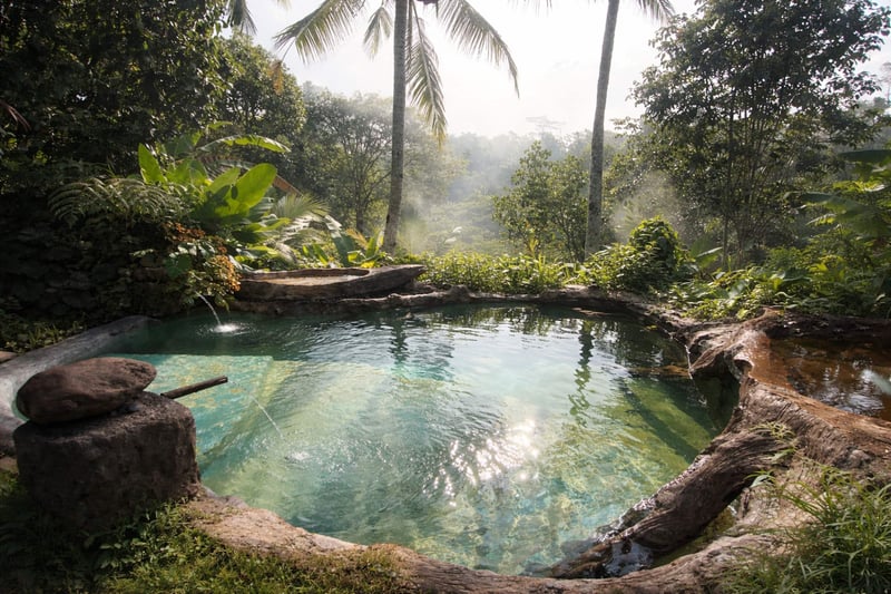 private jungle cabin + private poll + jungle view 38