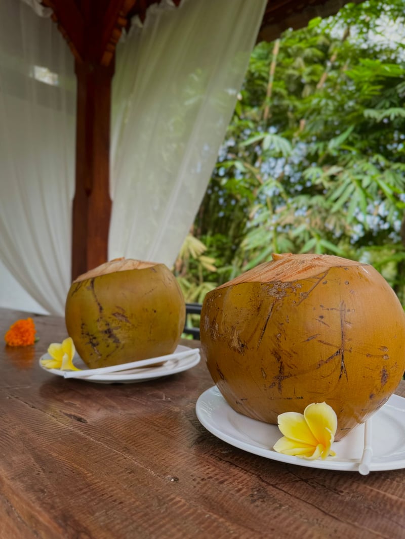 Pande Sebali Villas 2 1