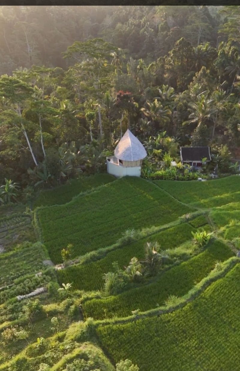 Sanding Bamboo Villa - An Idyllic Jungle Retreat 35