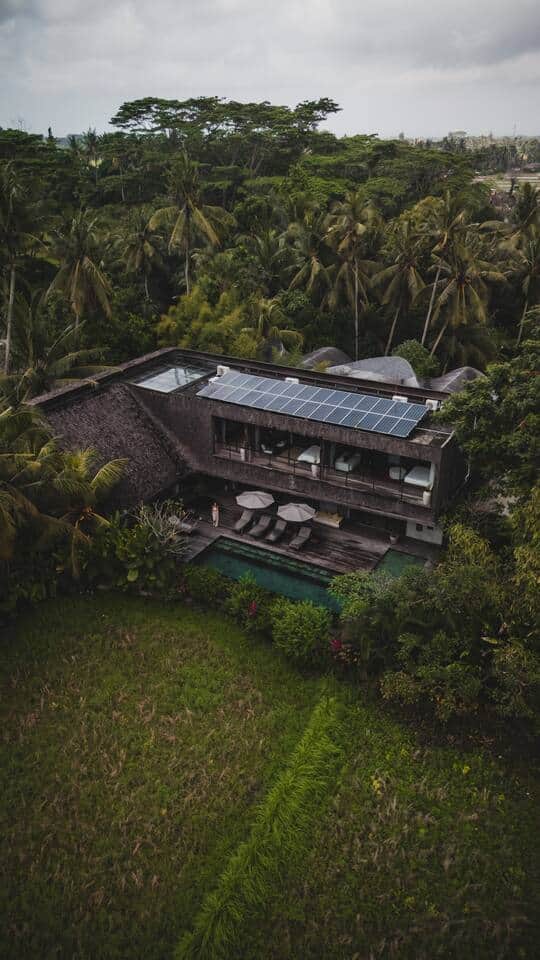 The Wing (Bonum Living) 19