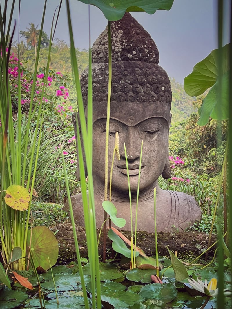 Ki Ma Ya Sanctuary, At One with Nature 20