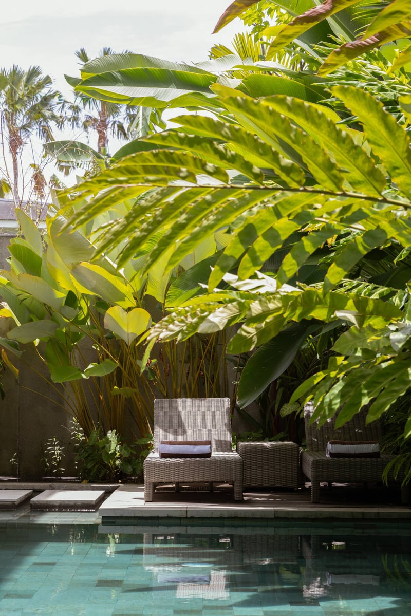 Akar - Elegant 4BR Villa in the Heart of Berawa 35