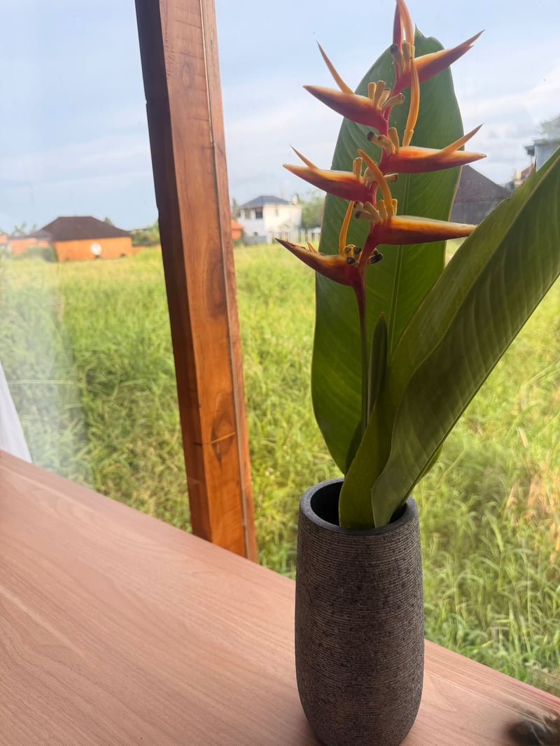 TONI 27, NEW, Ricefield View & Skybed, 2 Bed 11