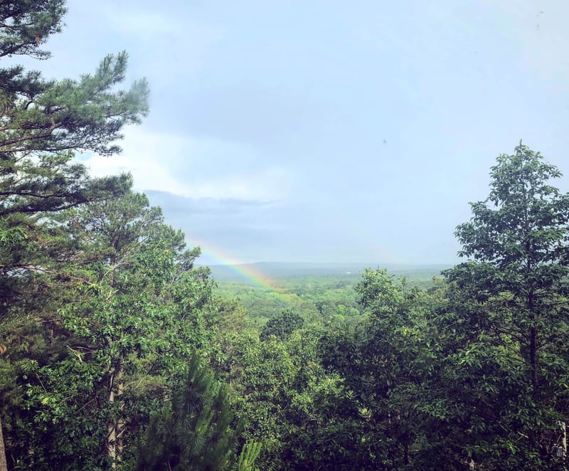 Epic Views Waterfall Cabin — photo 3