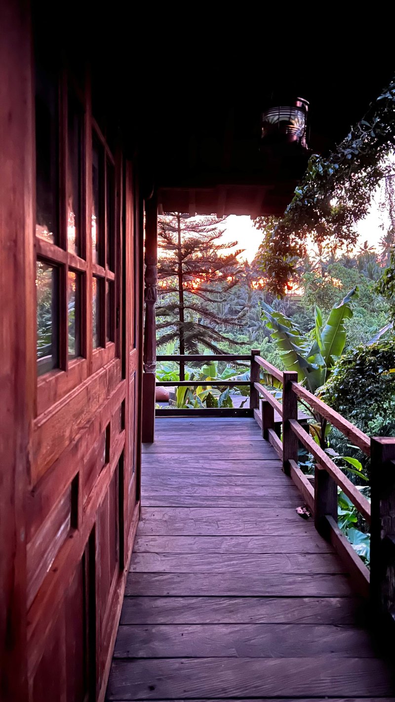 Lao Tzu @ Ki Ma Ya Sanctuary — photo 4
