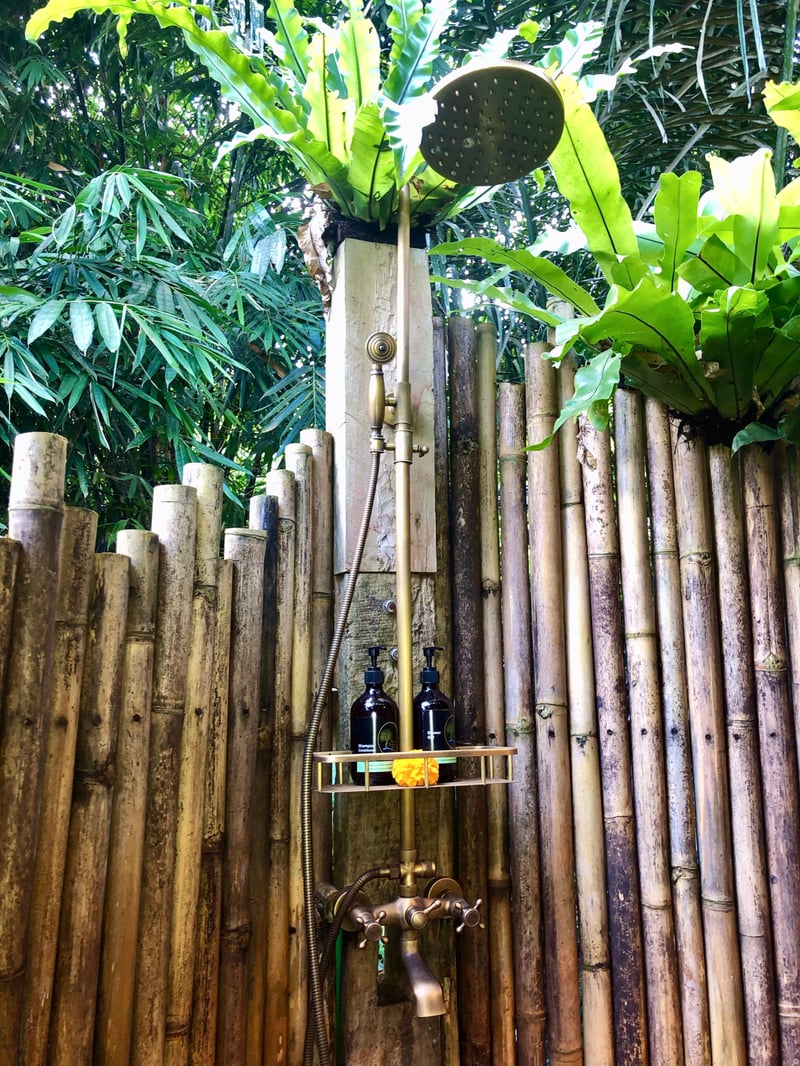 Enchanted Hobbit Treehouse Nestled in the Jungle 15