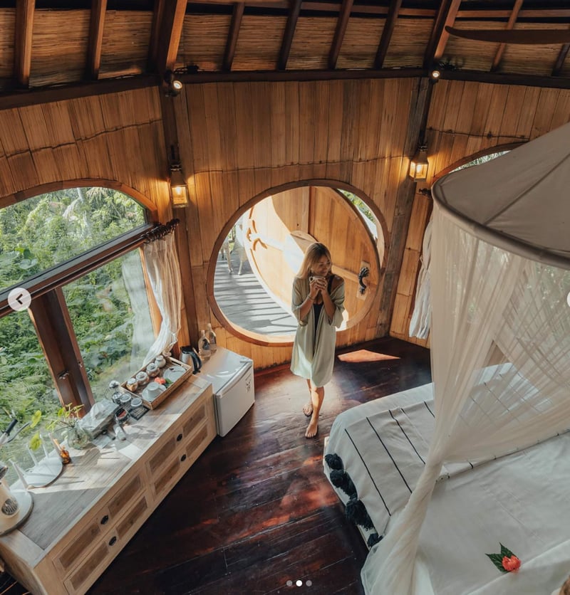 Enchanted Hobbit Treehouse Nestled in the Jungle 11