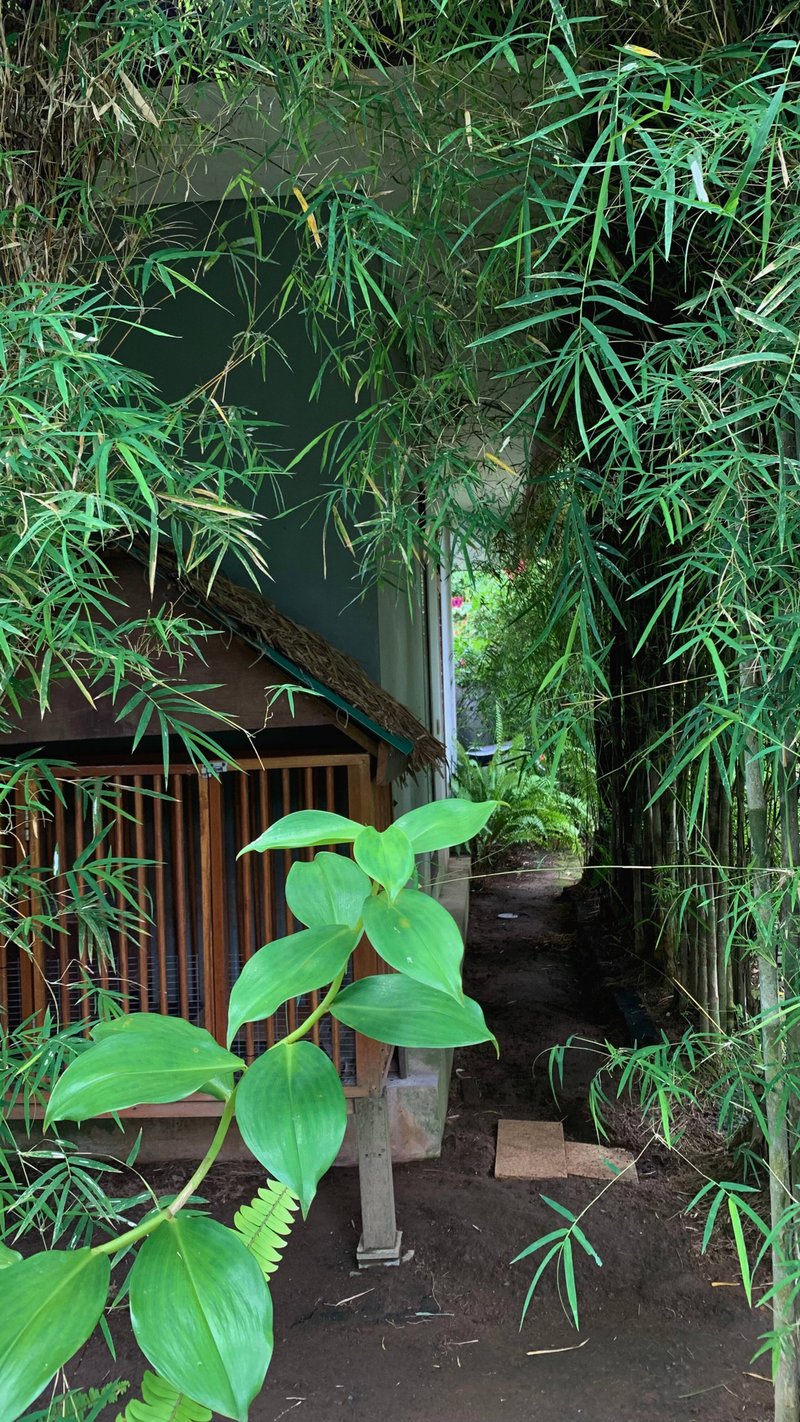Special price for August. Gorgeous Jungle Villa. 24