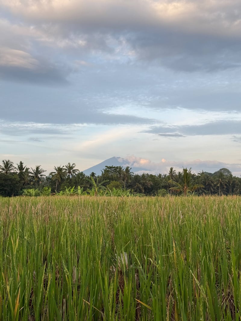Ubud stylish jungle pool villa 25