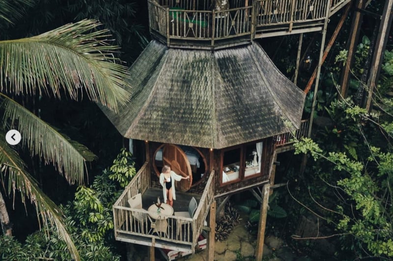 Enchanted Hobbit Treehouse Nestled in the Jungle — photo 2