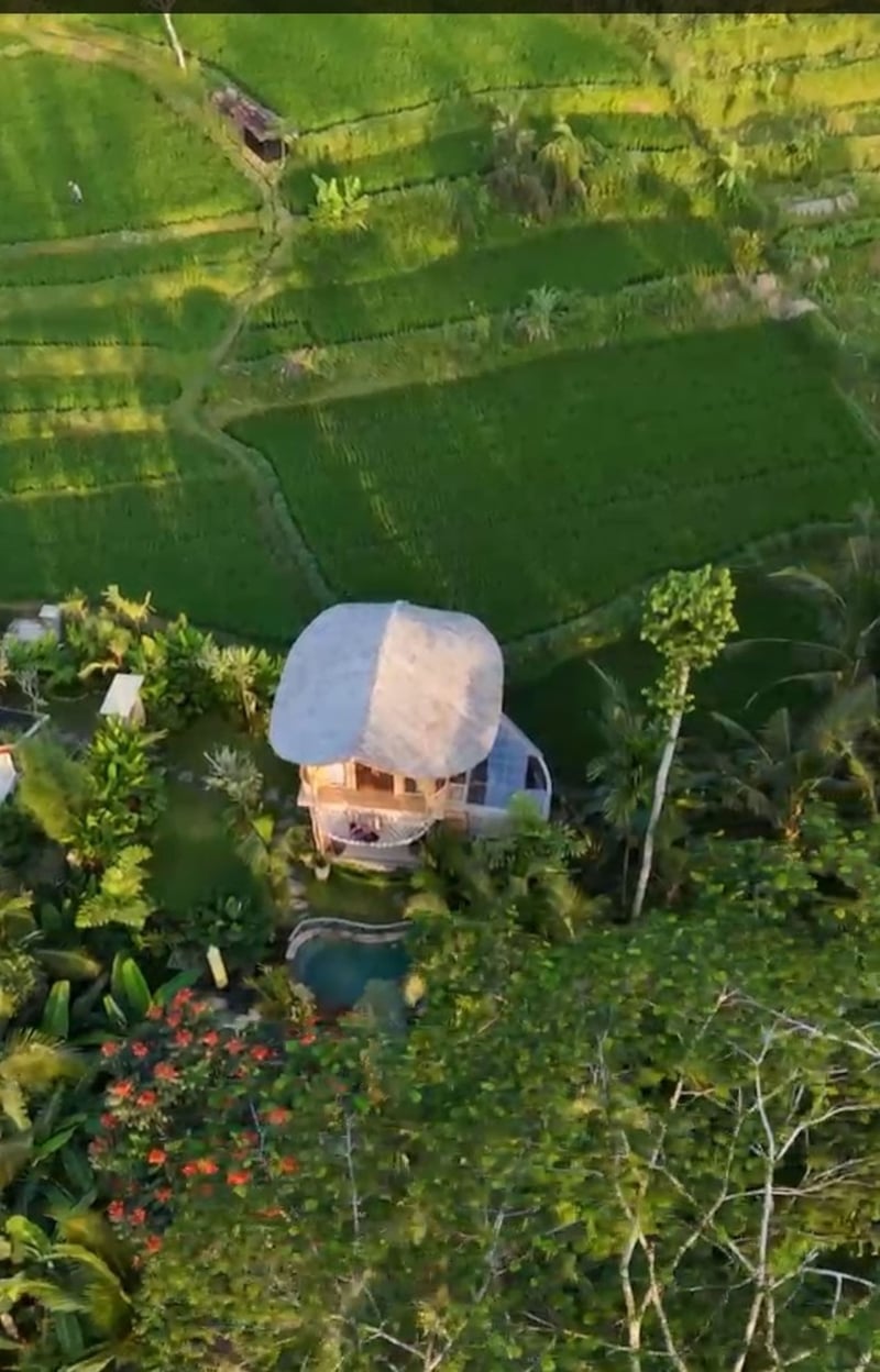 Sanding Bamboo Villa - An Idyllic Jungle Retreat 36