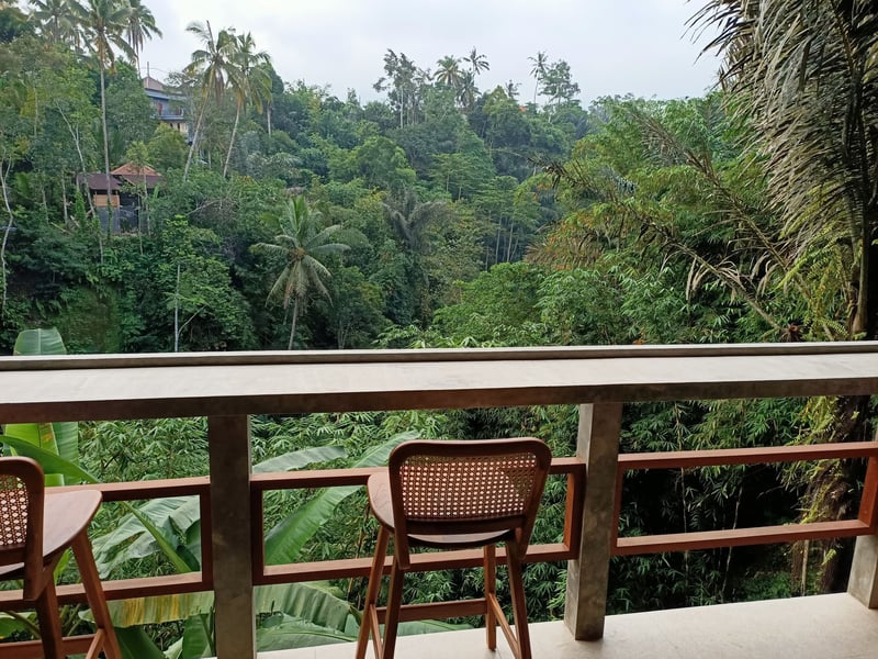 Art & Nature _ Ganesha Guesthouse - room 2. 9