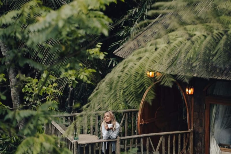 Enchanted Hobbit Treehouse Nestled in the Jungle 7