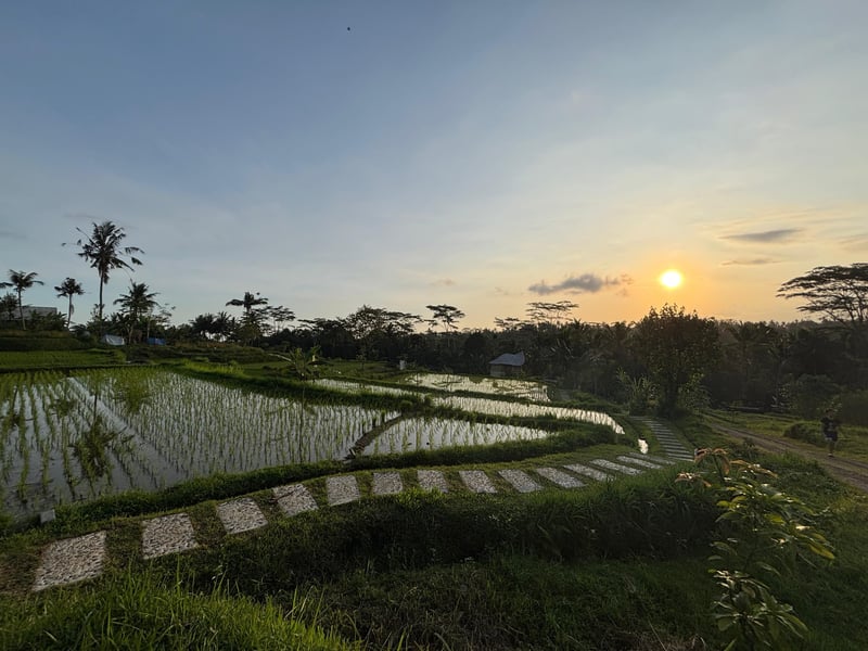 Sanding Bamboo Villa - An Idyllic Jungle Retreat 30