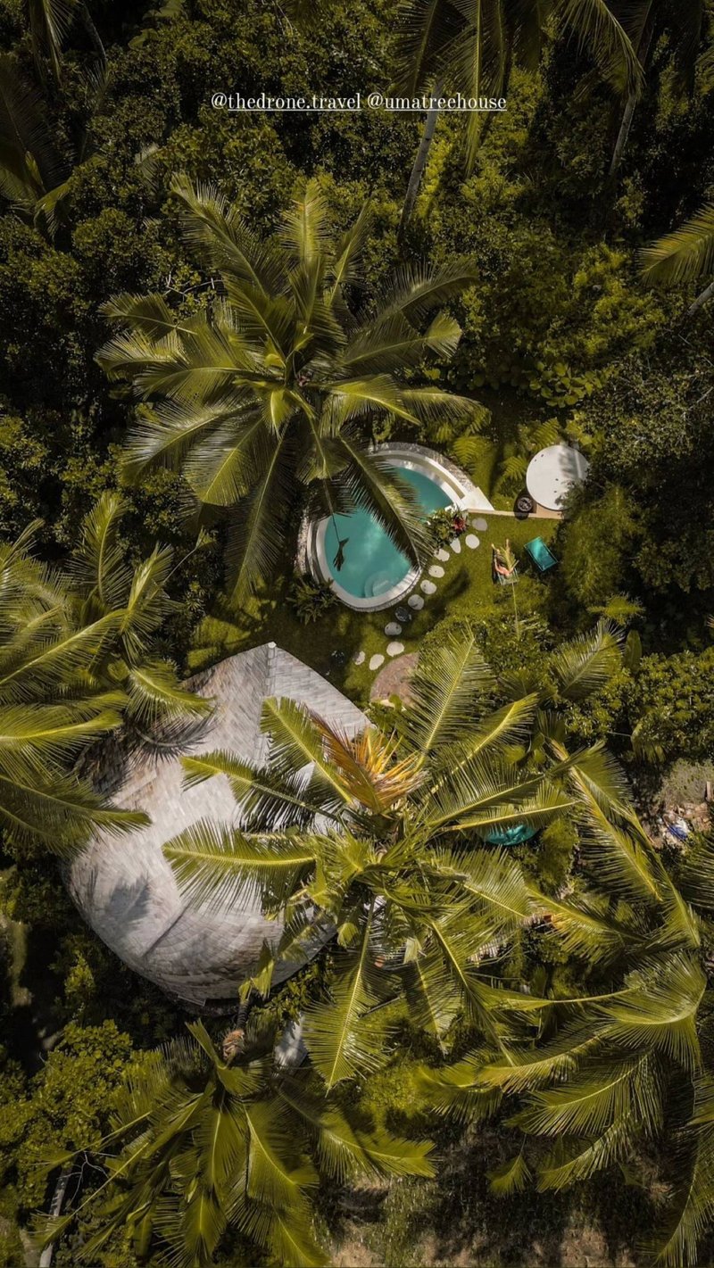 Umatreehouse. ecotreehouse_ bamboo house bali 21