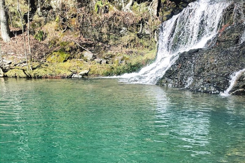 Epic Views Waterfall Cabin — photo 4